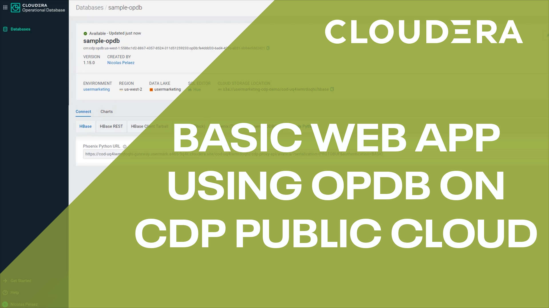 thumbnail-brightcove-video